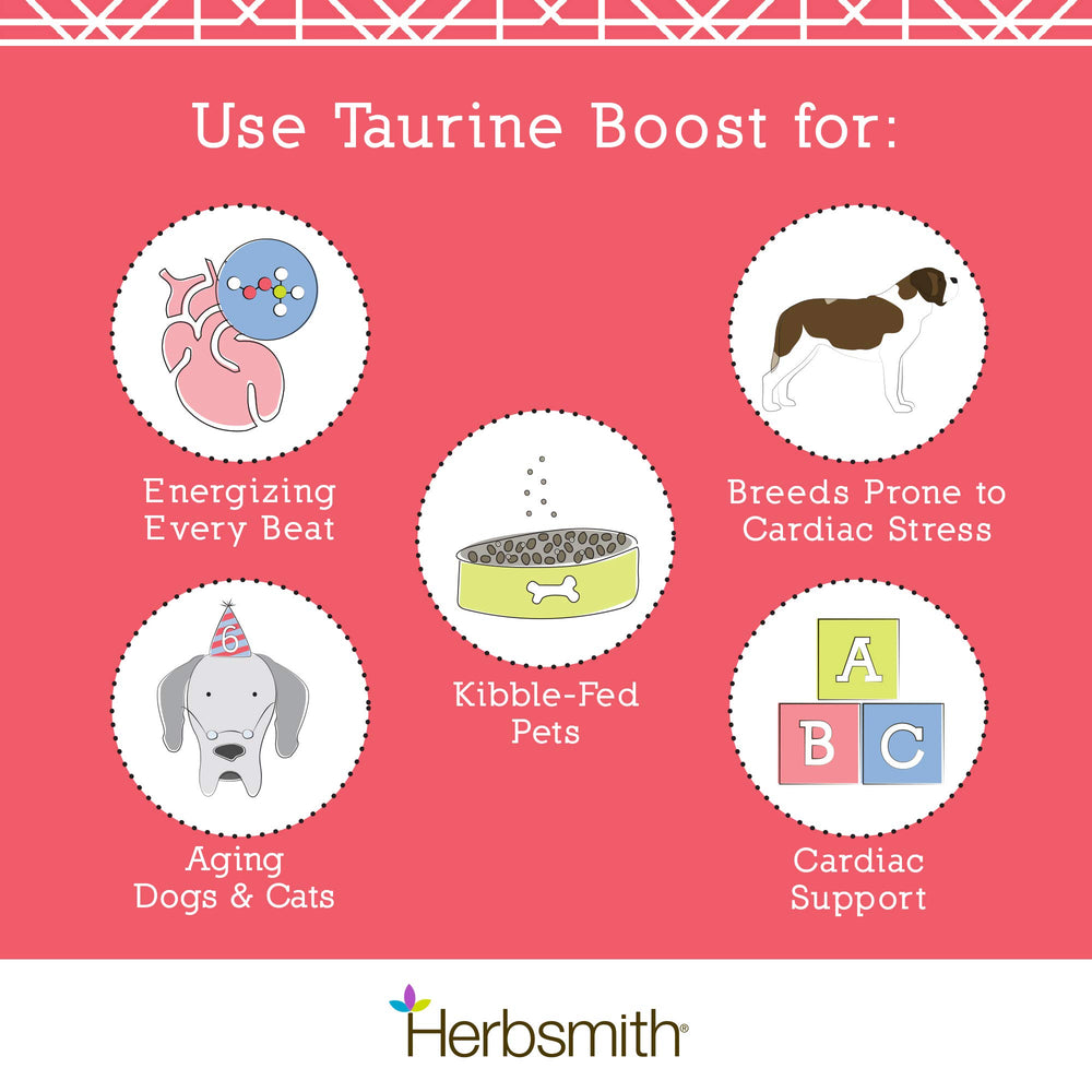 Herbsmith Taurine Boost dog meal scene implies convenient daily addition