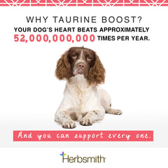 Herbsmith Taurine Boost krill-omega3 graphic emphasizes omega-3 for heart health and energy