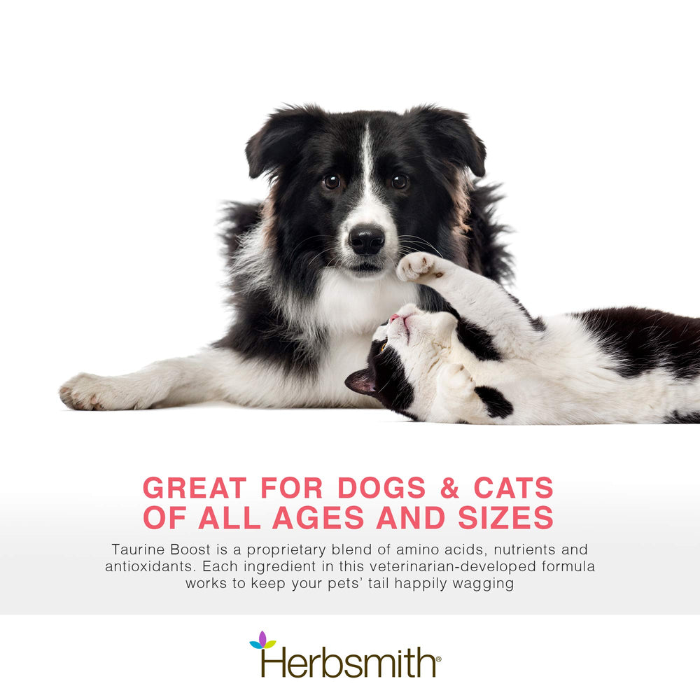 Herbsmith Taurine Boost mixing into broth demonstrates picky-eater friendly formula