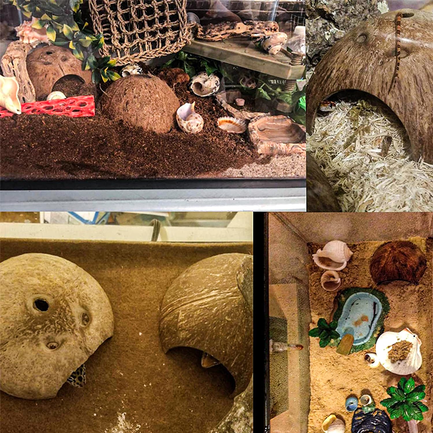 HERCOCCI hermit crab artificial plants enhance natural aesthetics and habitat depth.