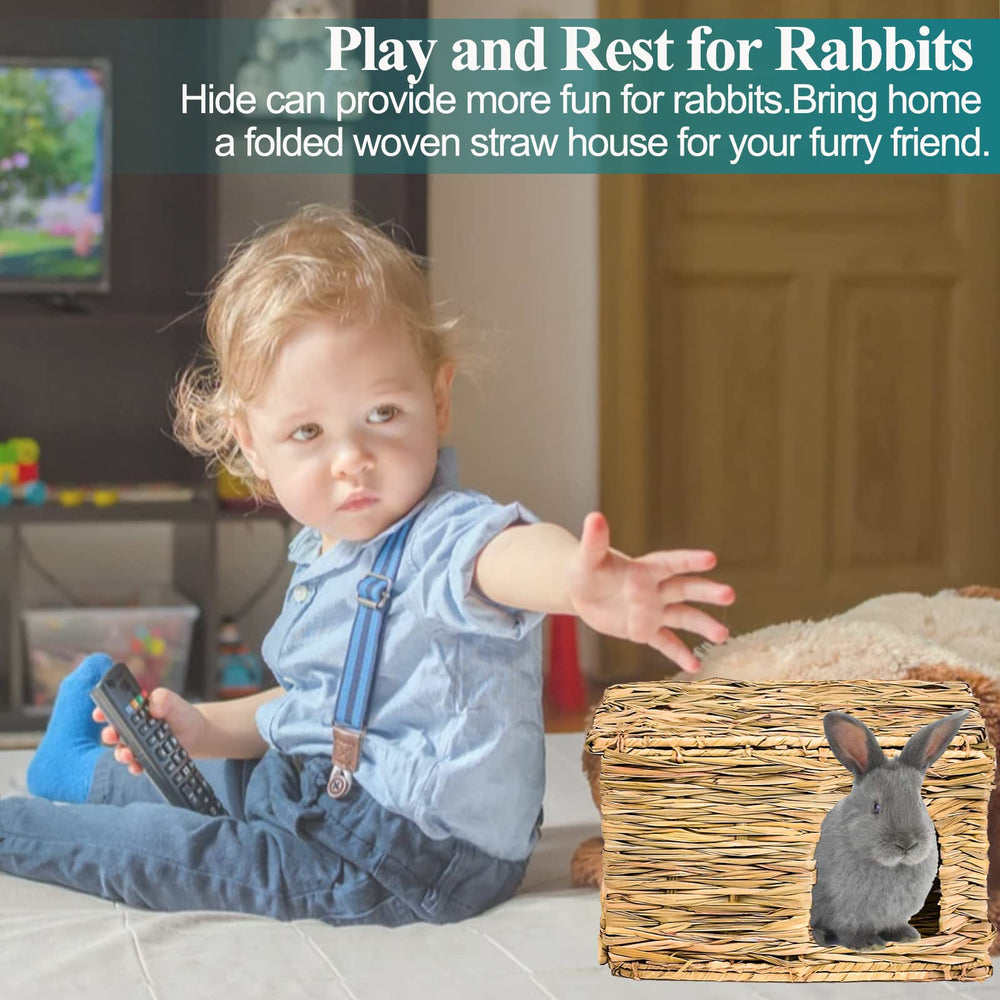 HERCOCCI grass house chew toy stimulates natural gnawing behavior