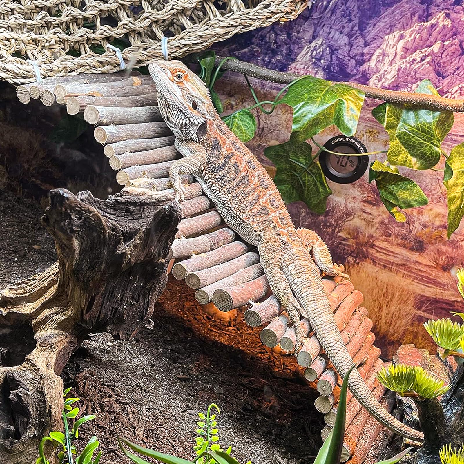 HERCOCCI green-reptile-vines add vibrant greenery and habitat enrichment in terrariums.