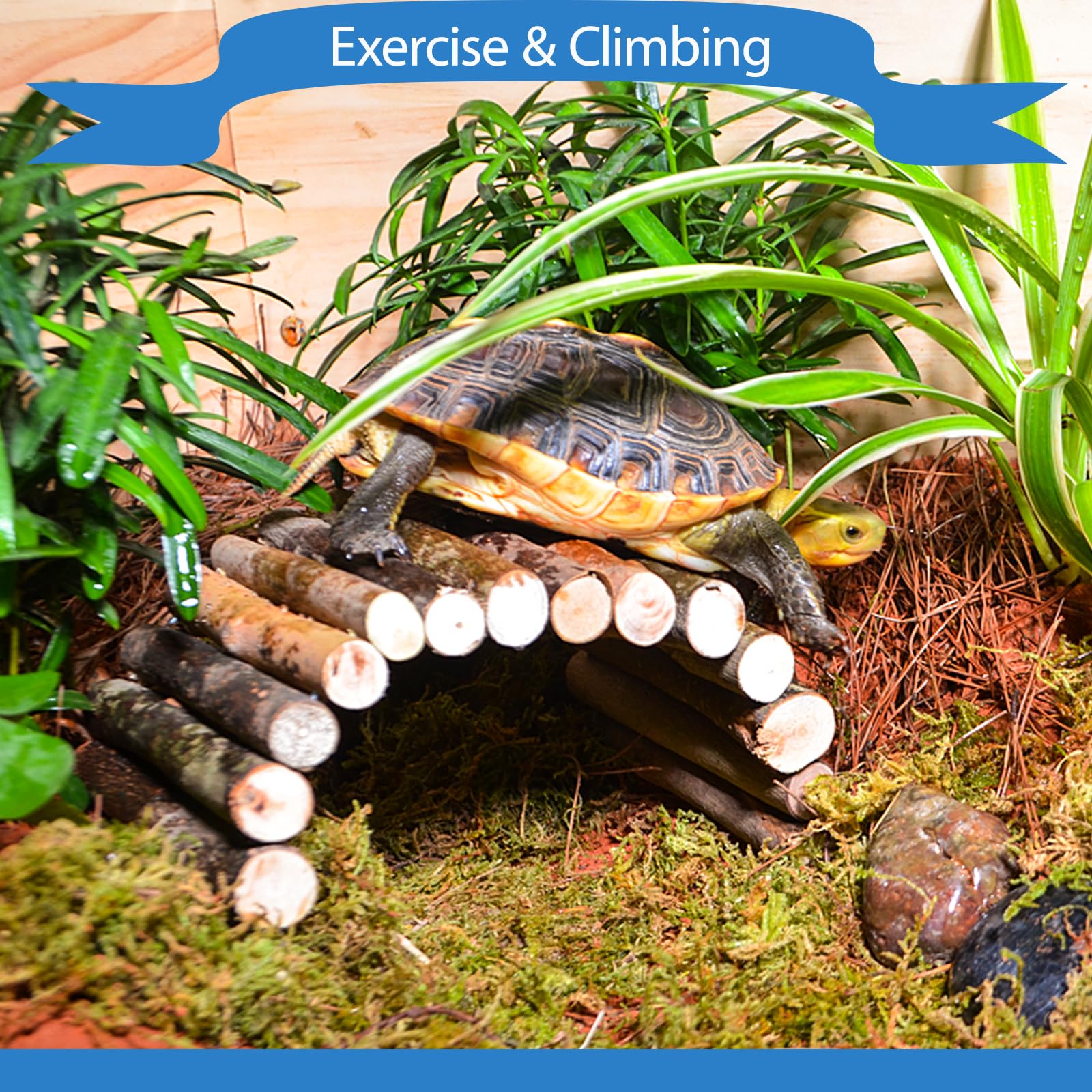 Herccoci jungle vine – realistic greenery and climbing enrichment for reptiles.