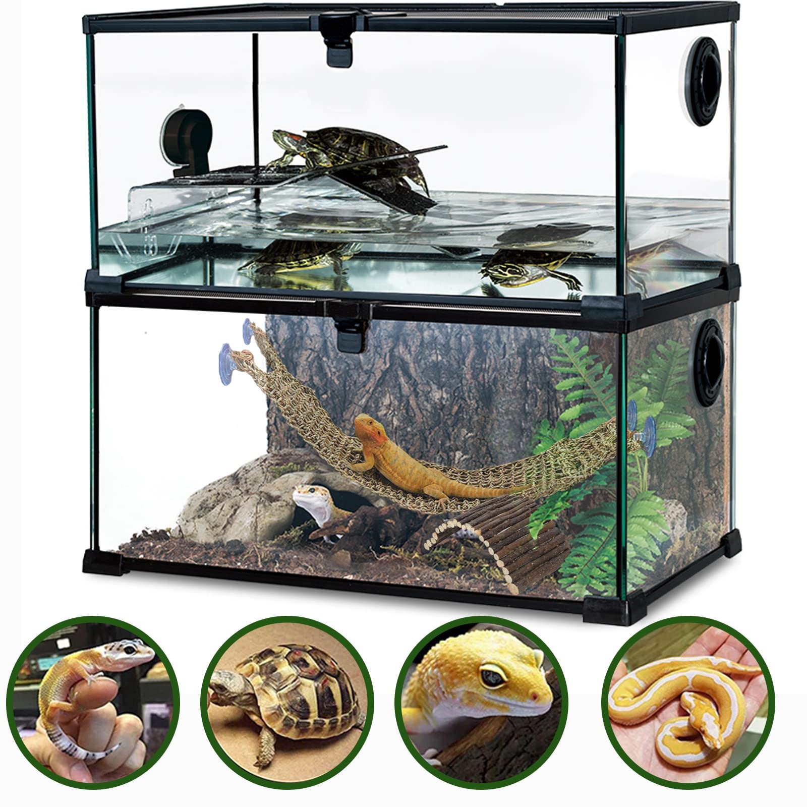 HERCOCCI-terarium-accessories-pack offers complete habitat decoration and enrichment options.