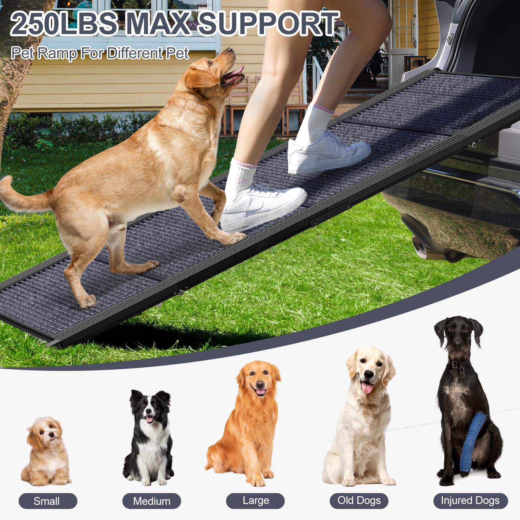 HerCcreta wigge dog ramp angle setup demonstrates gentle incline for easier entries