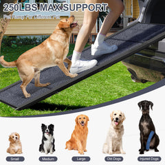 HerCcreta wigge dog ramp angle setup demonstrates gentle incline for easier entries