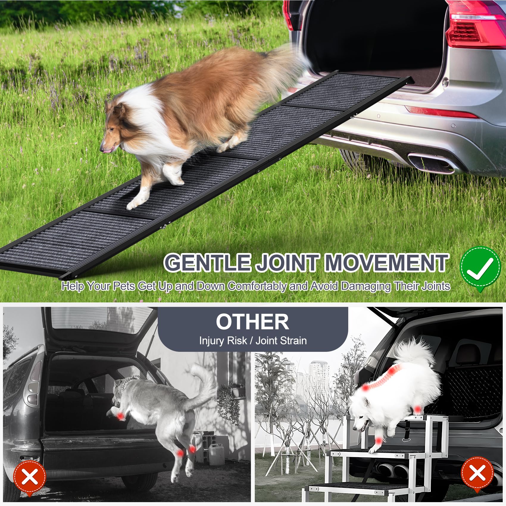 HerCcreta wigge portable 16 lb ramp for easy transport to car or hotel