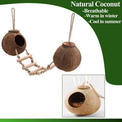 HERCOCCI Gecko Tank coconut shell house ladder offers climbing challenge and enrichment.