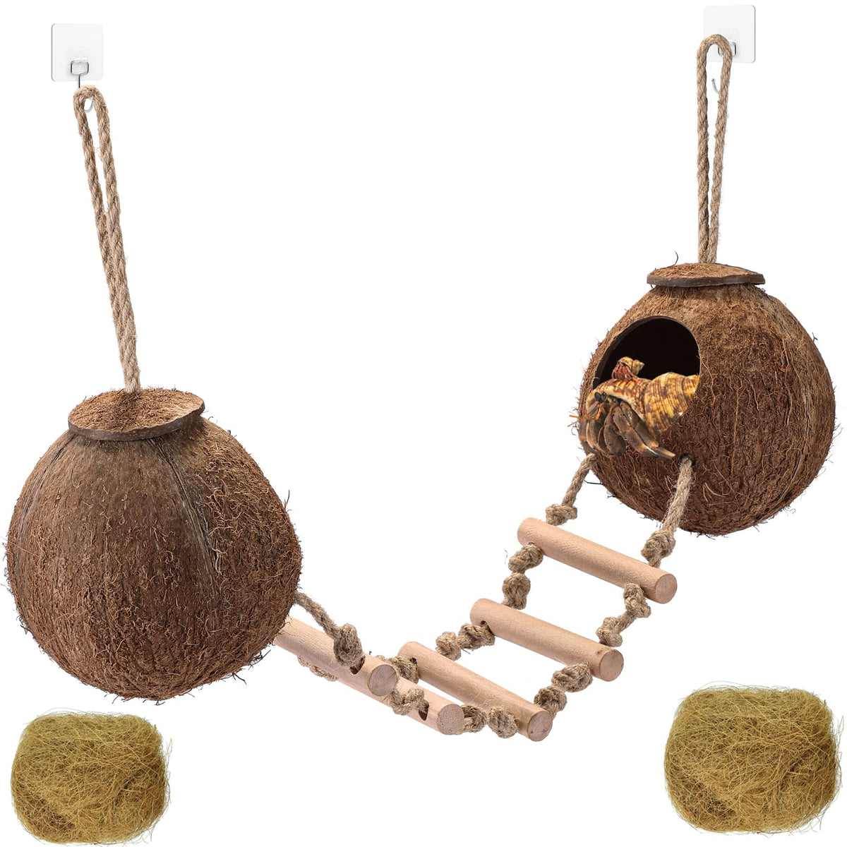 HERCOCCI Gecko Tank double coconut shell hut provides a natural hideaway and exercise space.