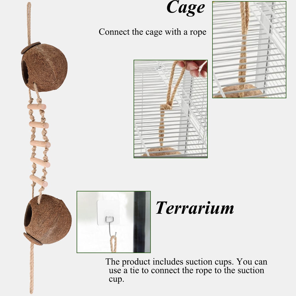HERCOCCI Gecko Tank removable ladder design supports customizable enrichment.