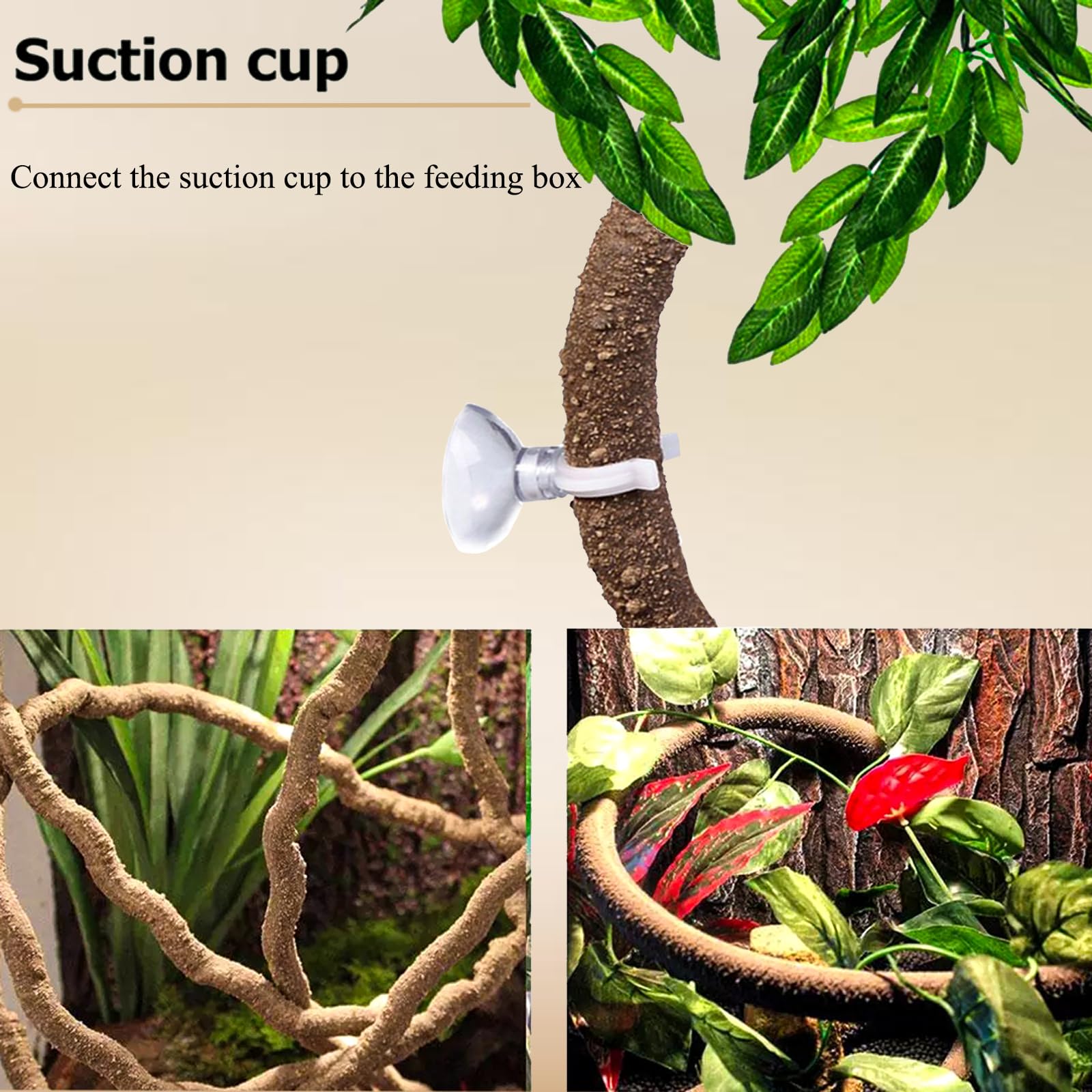 HERCOCCI stand plants create natural aesthetics and hiding micro-habitats for shy reptiles