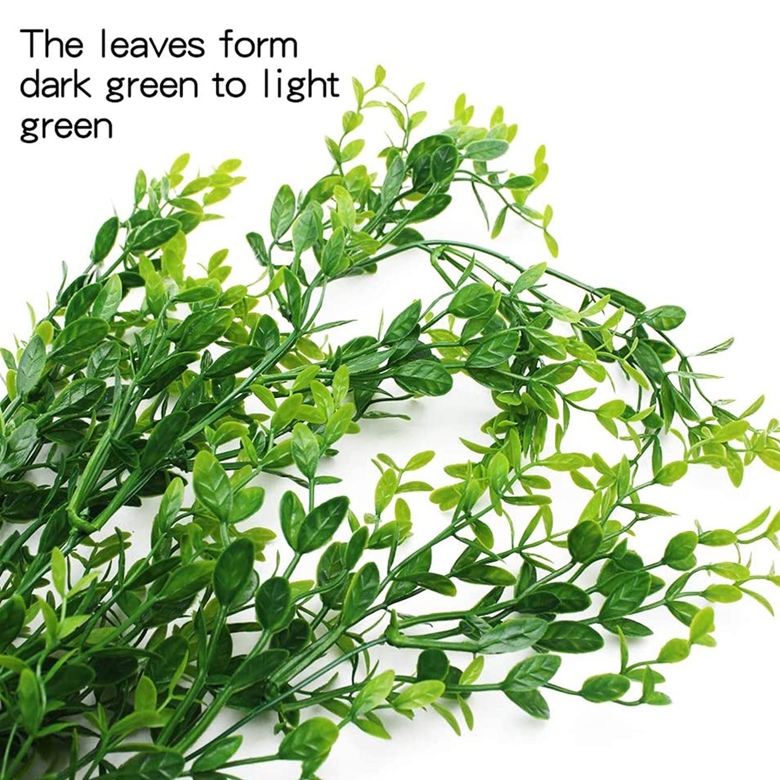 Hercocci terrarium plants silk leaves close-up show safe habitat realism.