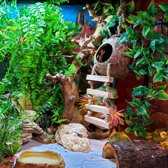 HERCOCCI wood bridge enables safe crossing and exploration in the enclosure
