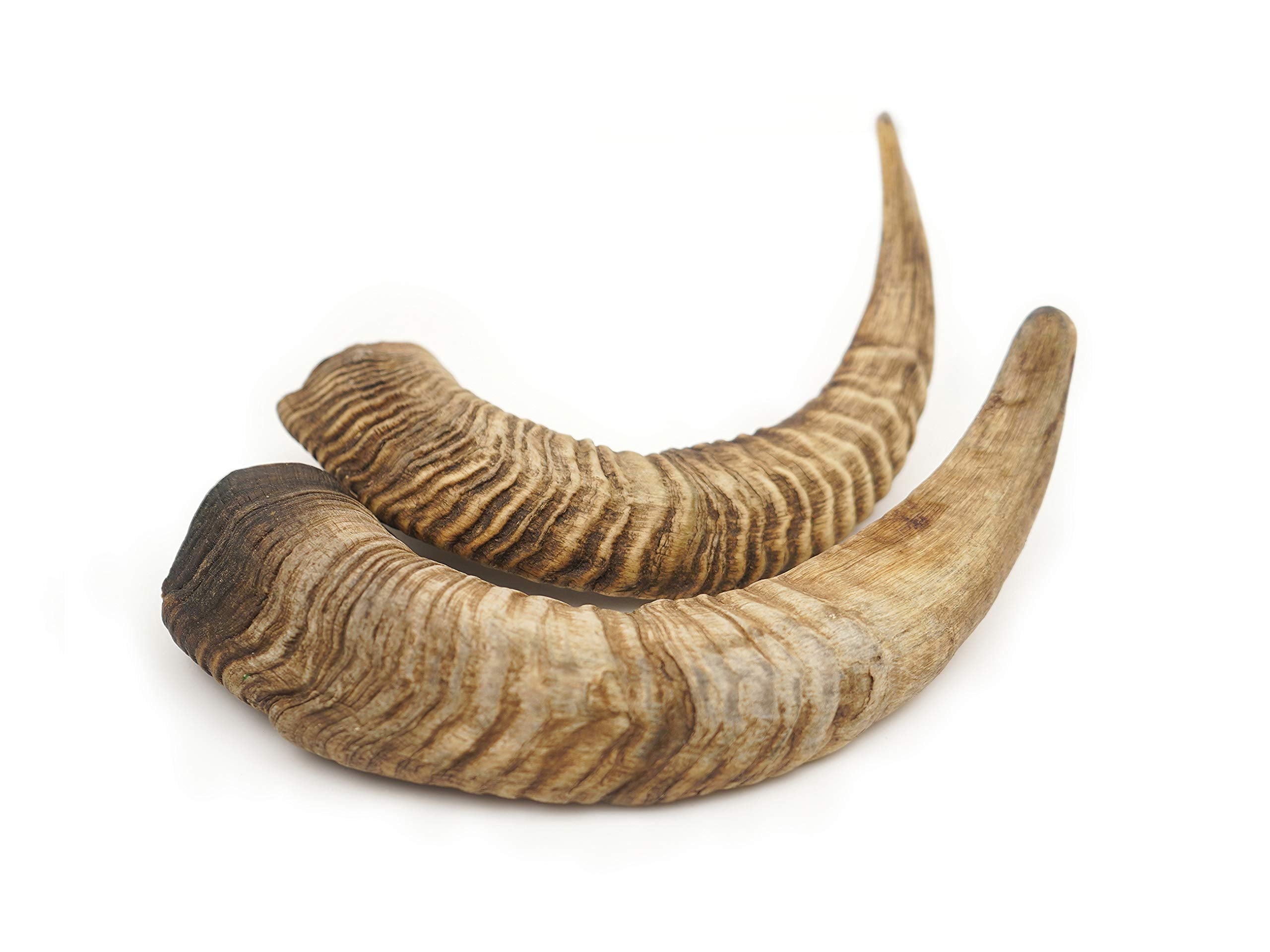 Herders Choice natural chew from free-range goats provides long-lasting distraction.