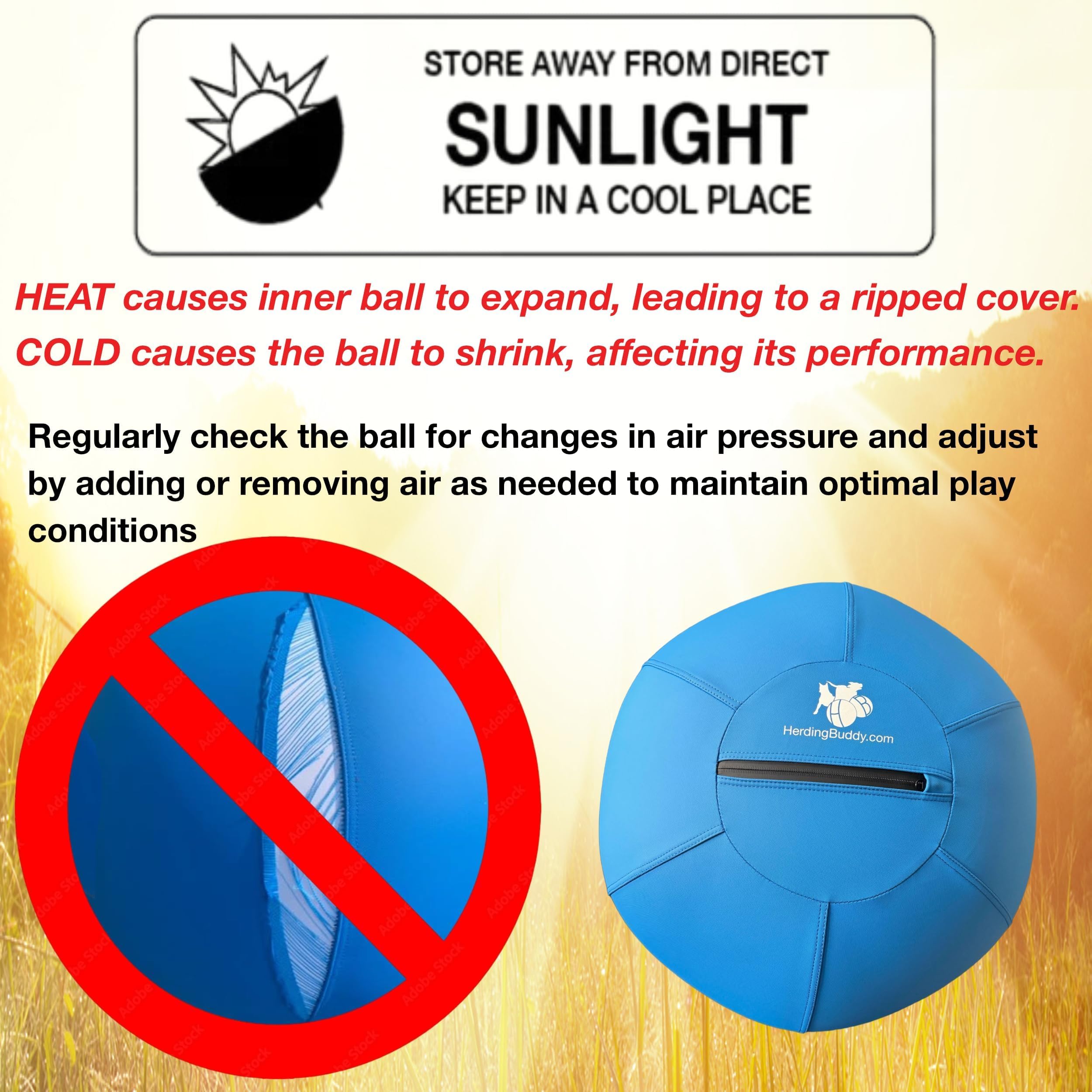 Herding Buddy safety-focused design image shows supervised play setup.