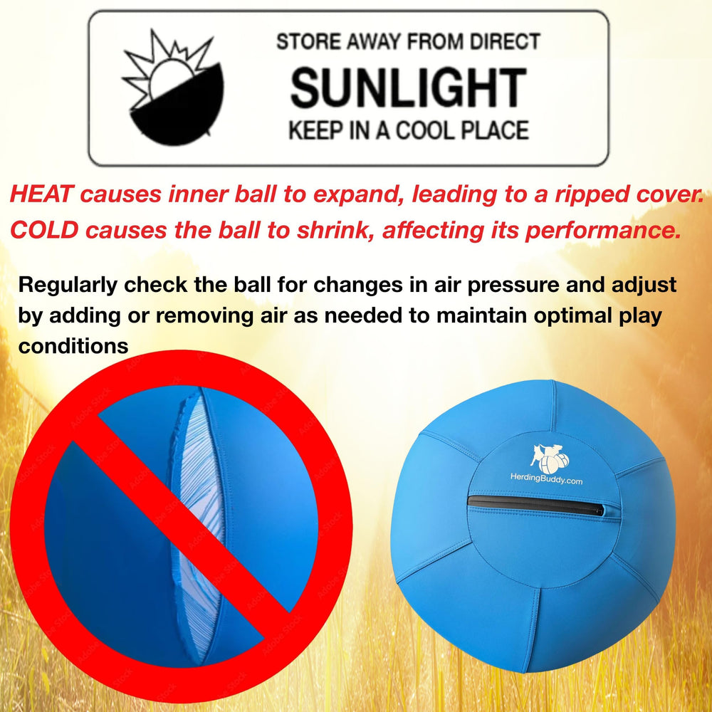 Herding Buddy safety-focused design image shows supervised play setup.
