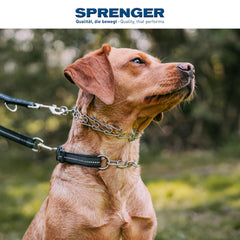 Herm Sprenger three extra stainless steel links for easy size adjustments.