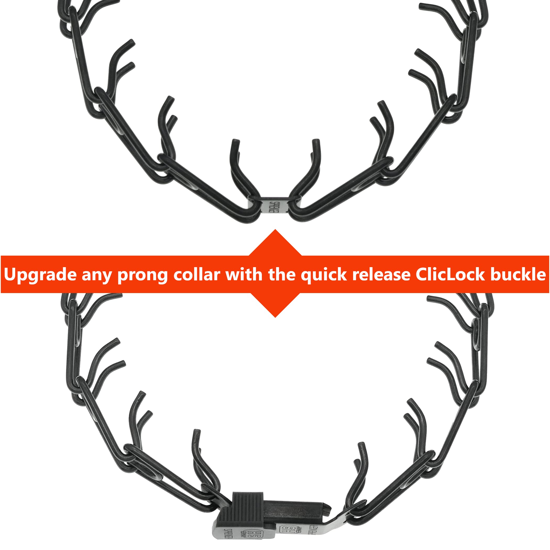 Herm Sprenger buckle on collar view emphasizes quick application during walks.