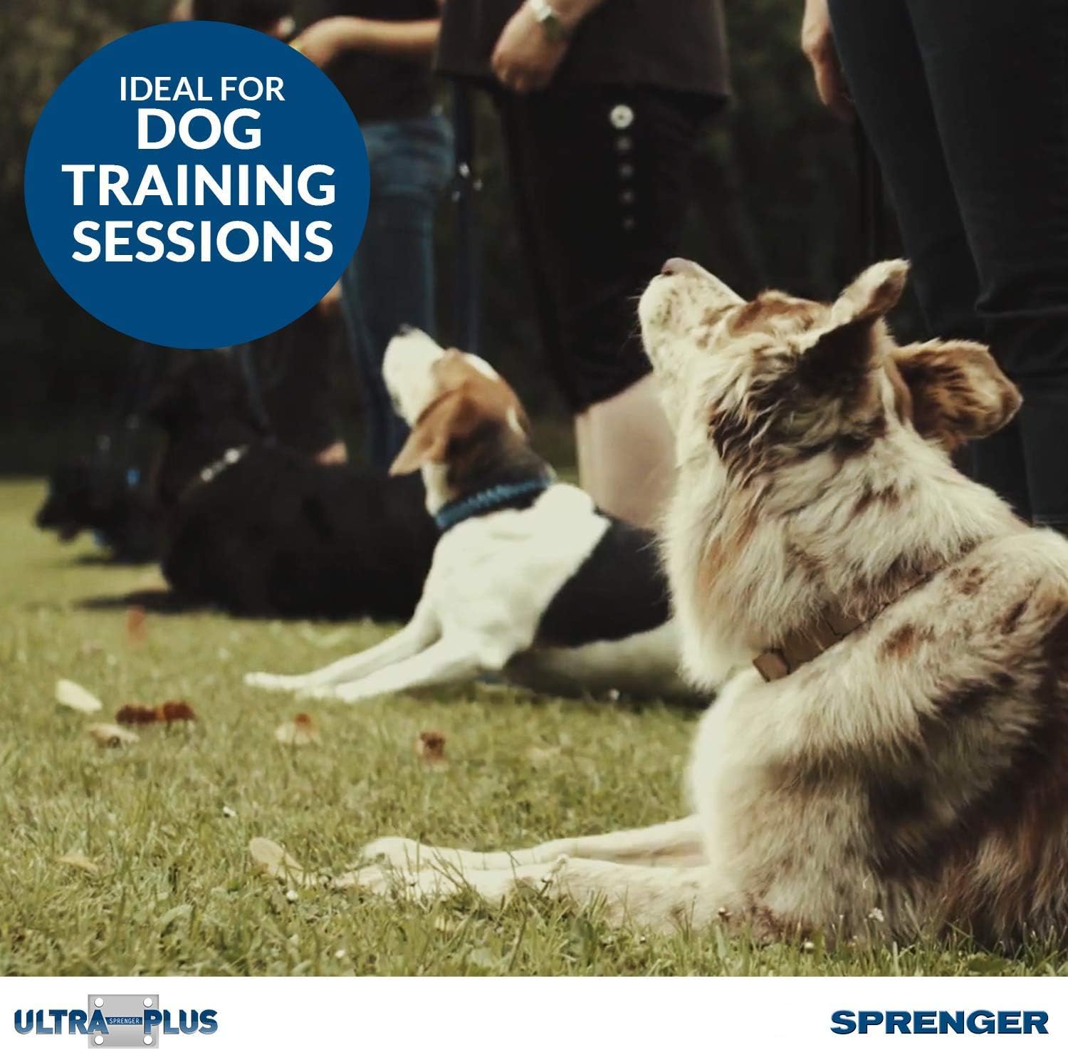 Herm Sprenger chrome plated training collar 3mm wire-gauge 21-inch showcases durable German craftsmanship.