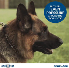 Herm Sprenger chrome plated training collar ends rounded for safe, comfortable contact.