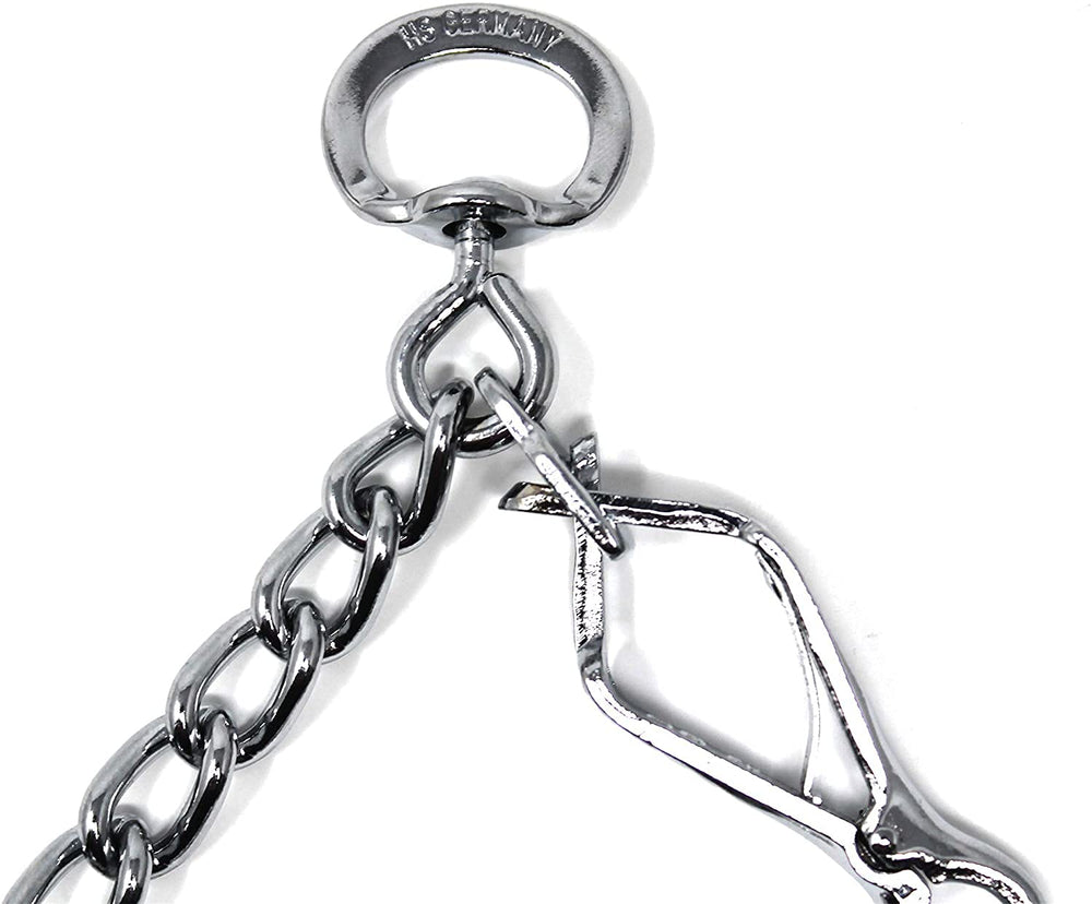 Herm Sprenger chrome plated training collar during walking setup demonstrates easy handling.