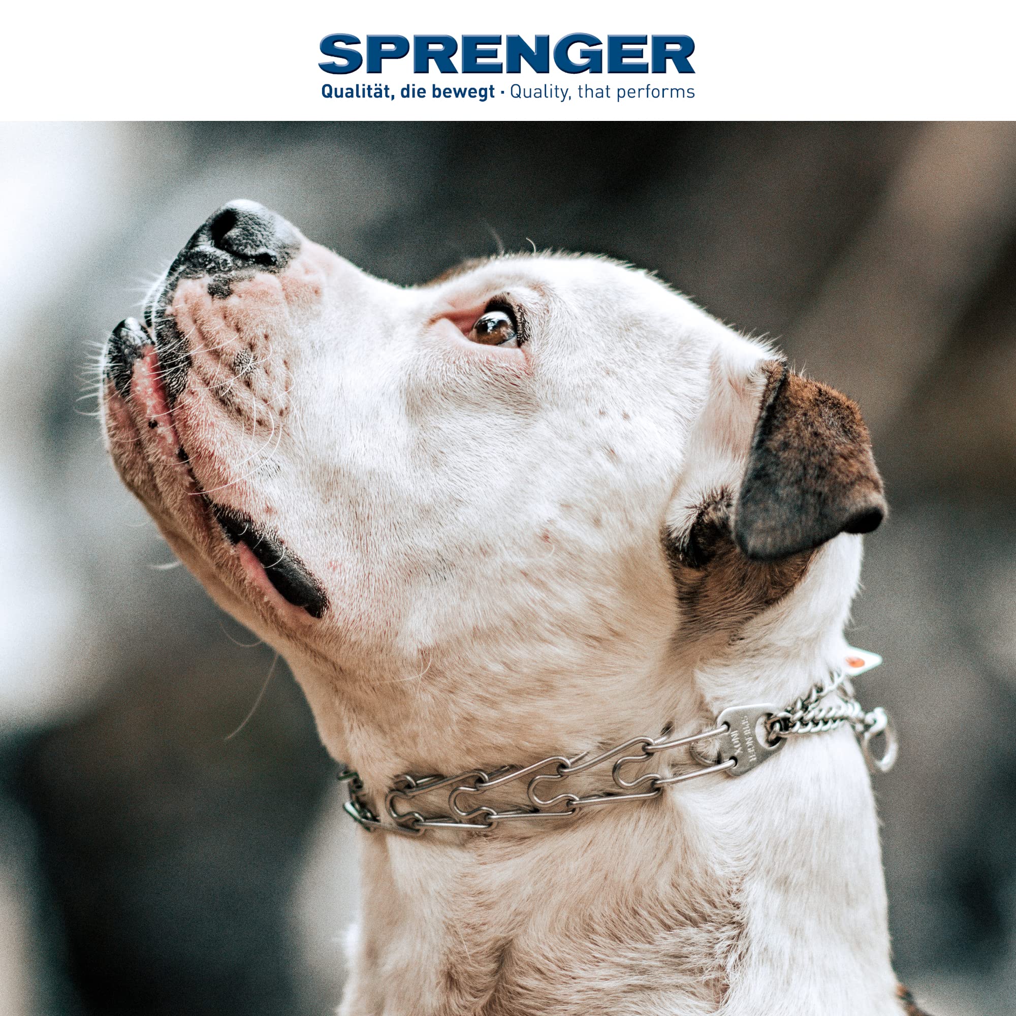 Ajuste de longitud hasta 41 cm con eslabones, Herm Sprenger.