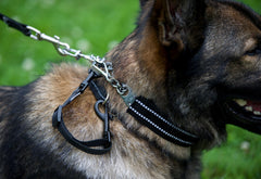 Herm Sprenger dog leash safety strap with reflective coating for better visibility and backup connection.
