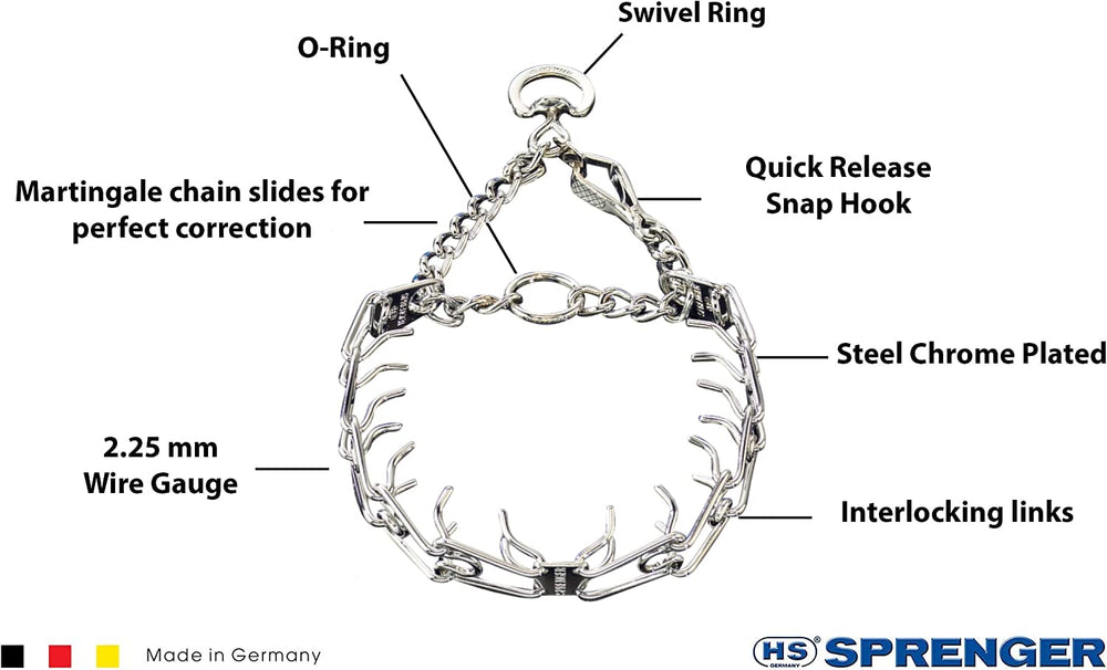 Herm Sprenger pinch collar on a dog during a walk showing gentle guidance and control