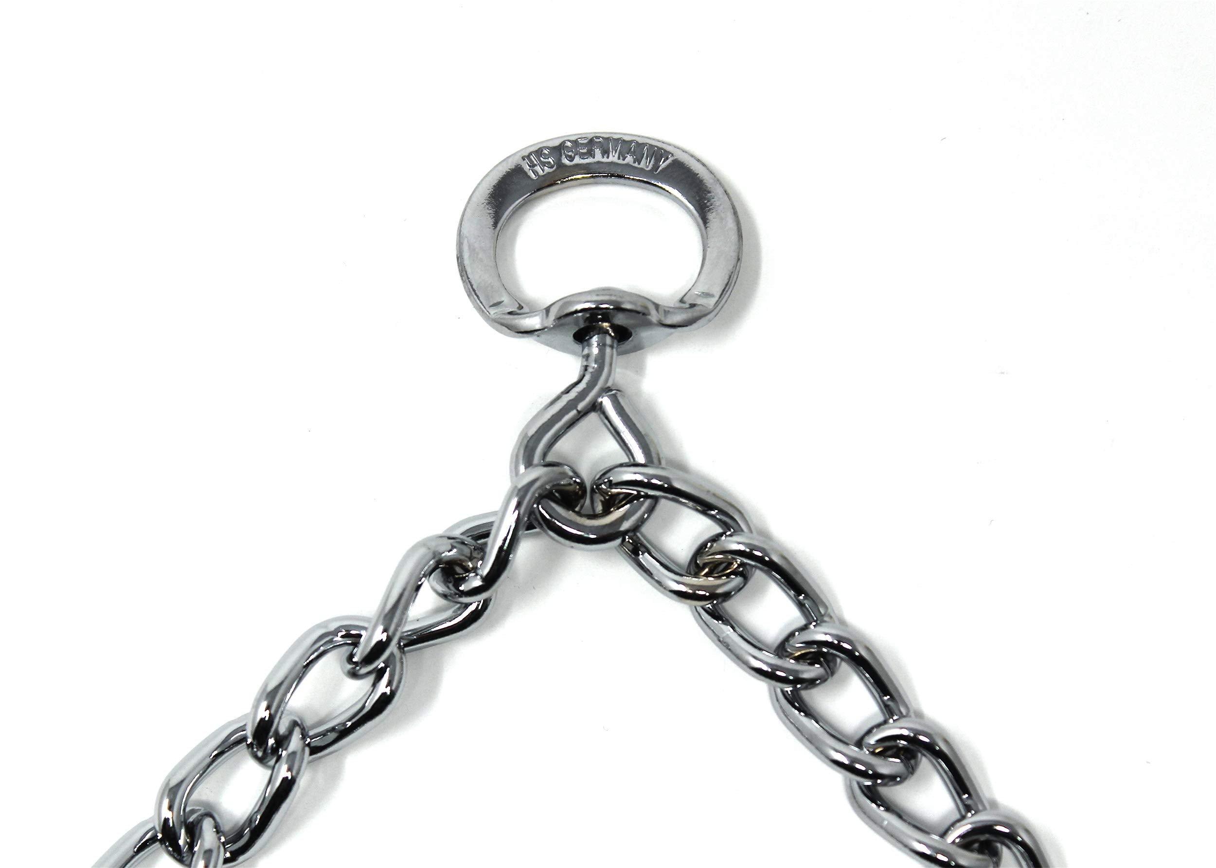 Herm Sprenger prong collar worn by dogs during controlled walks