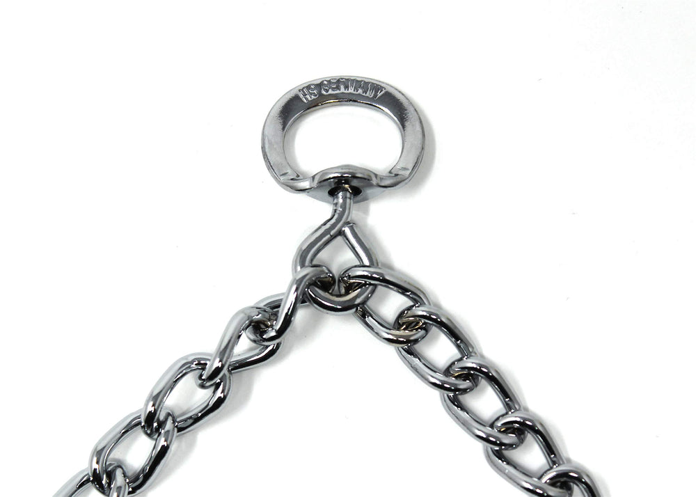 Herm Sprenger prong collar worn by dogs during controlled walks