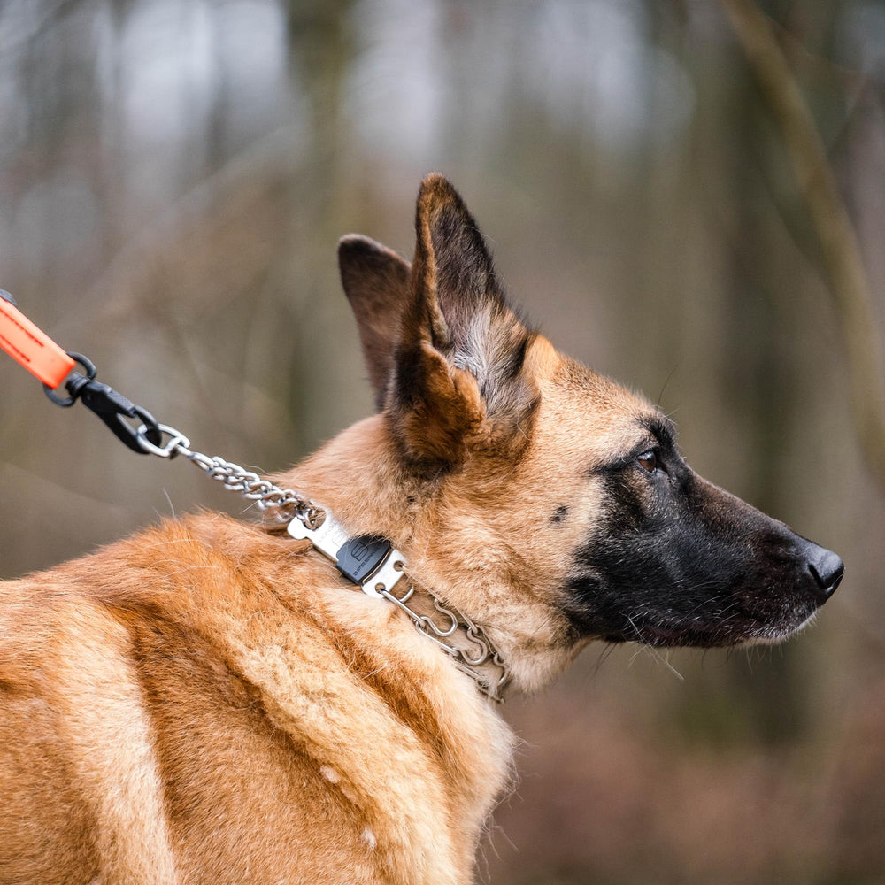 Herm Sprenger short-links collar detail illustrates a precise, snug fit for controlled training.