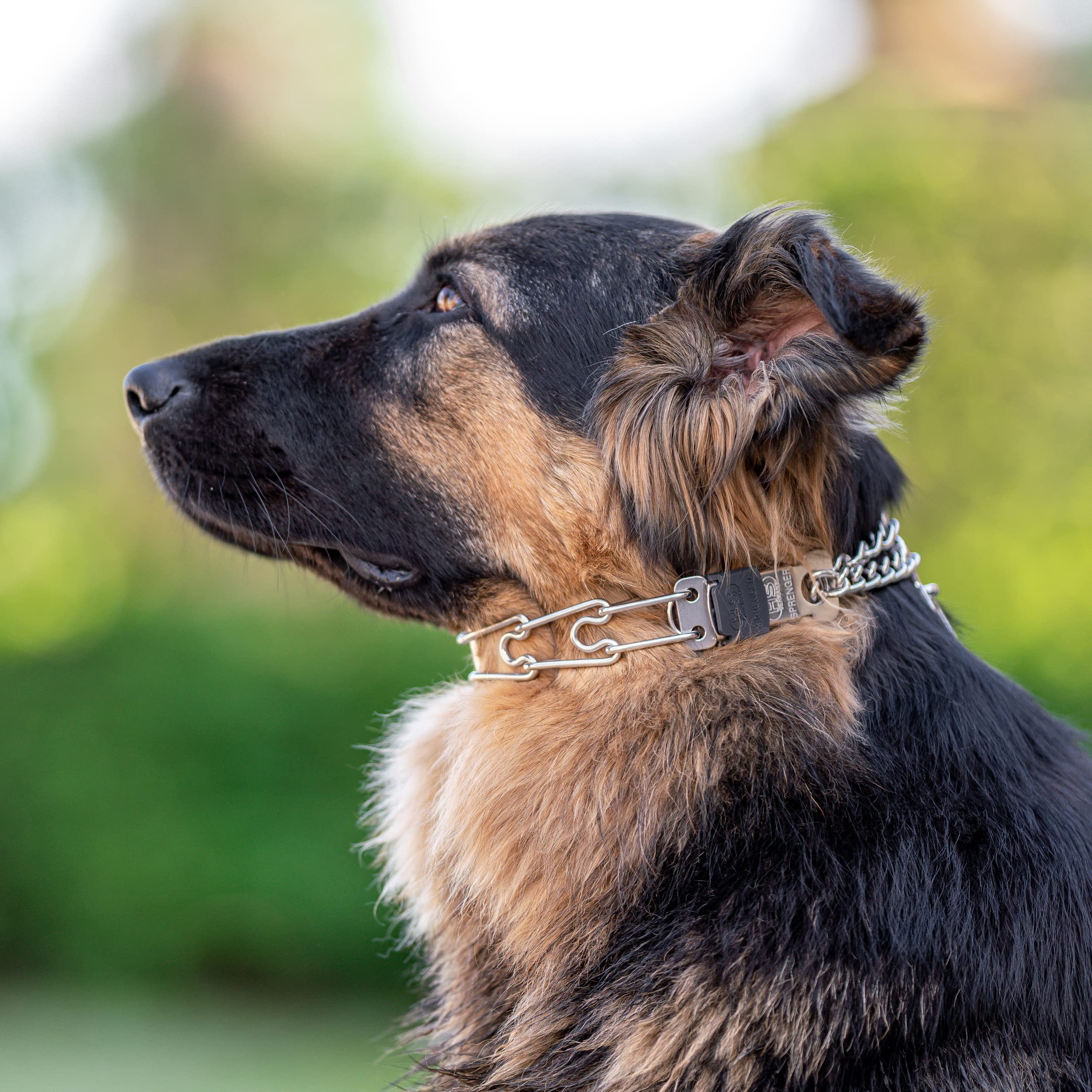 Herm Sprenger stainless steel collar emphasizes durability and reliable performance