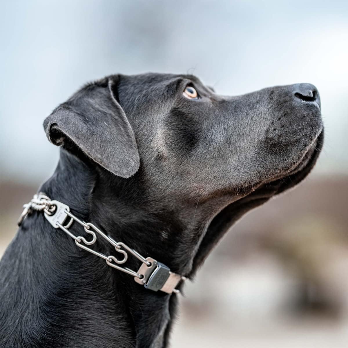 Herm Sprenger stainless steel durability emphasizes rust-proof build for outdoor use.
