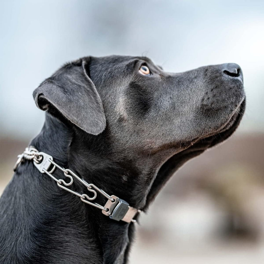 Herm Sprenger stainless steel durability emphasizes rust-proof build for outdoor use.