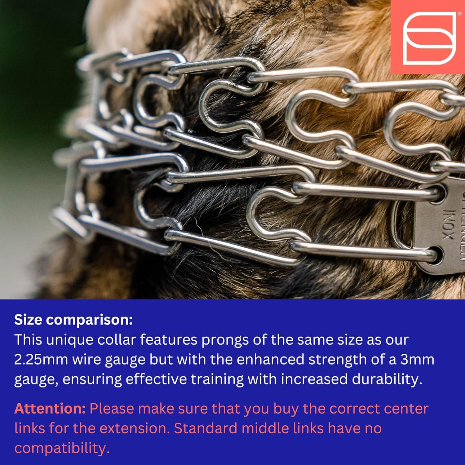 Herm Sprenger training collar in action demonstrates practical, safe use cases.