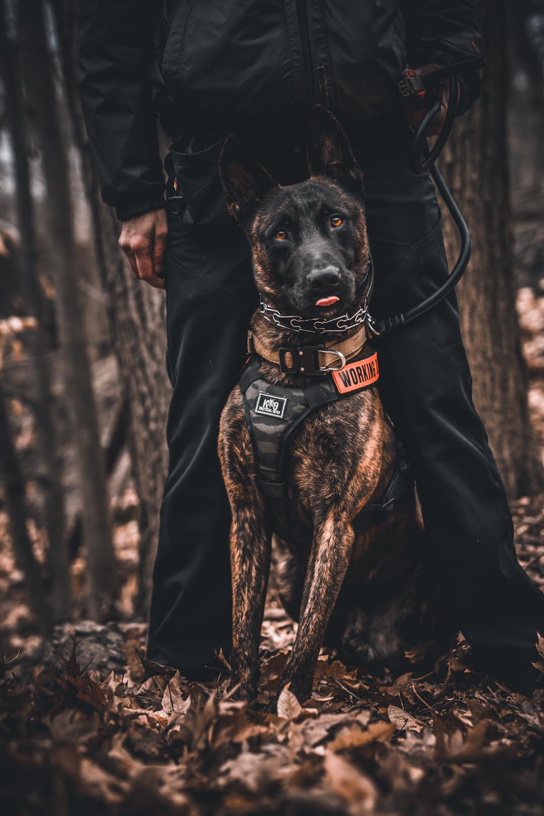 Herm Sprenger Ultra Plus training collar in packaging highlights brand heritage.