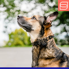 Herm Sprenger Ultra-Plus collar adjustment range demonstrating adjustable fit up to 18 inches.