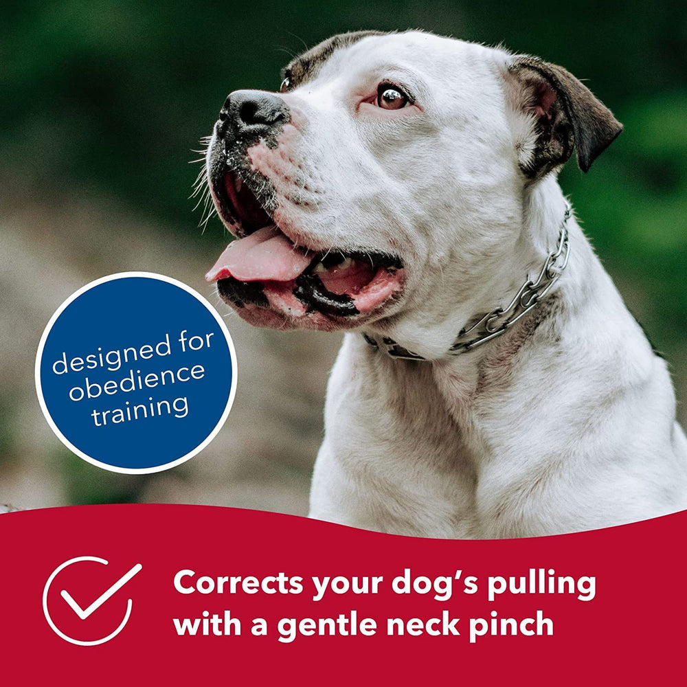 Herm Sprenger Ultra-Plus on dog neck during training session