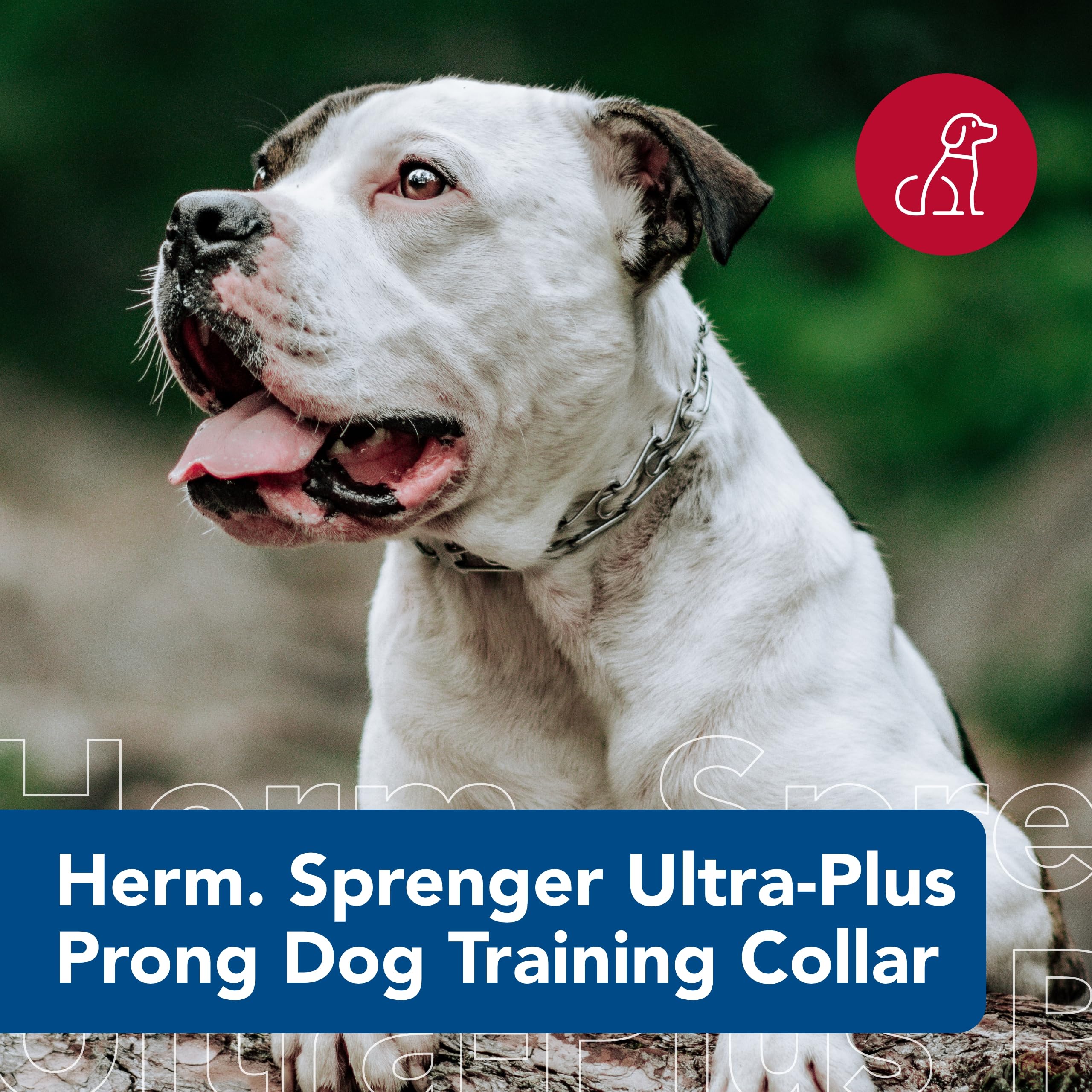 Herm Sprenger Ultra-Plus prong dog training collar chrome shows adjustable 20-inch neck and 22-inch chain