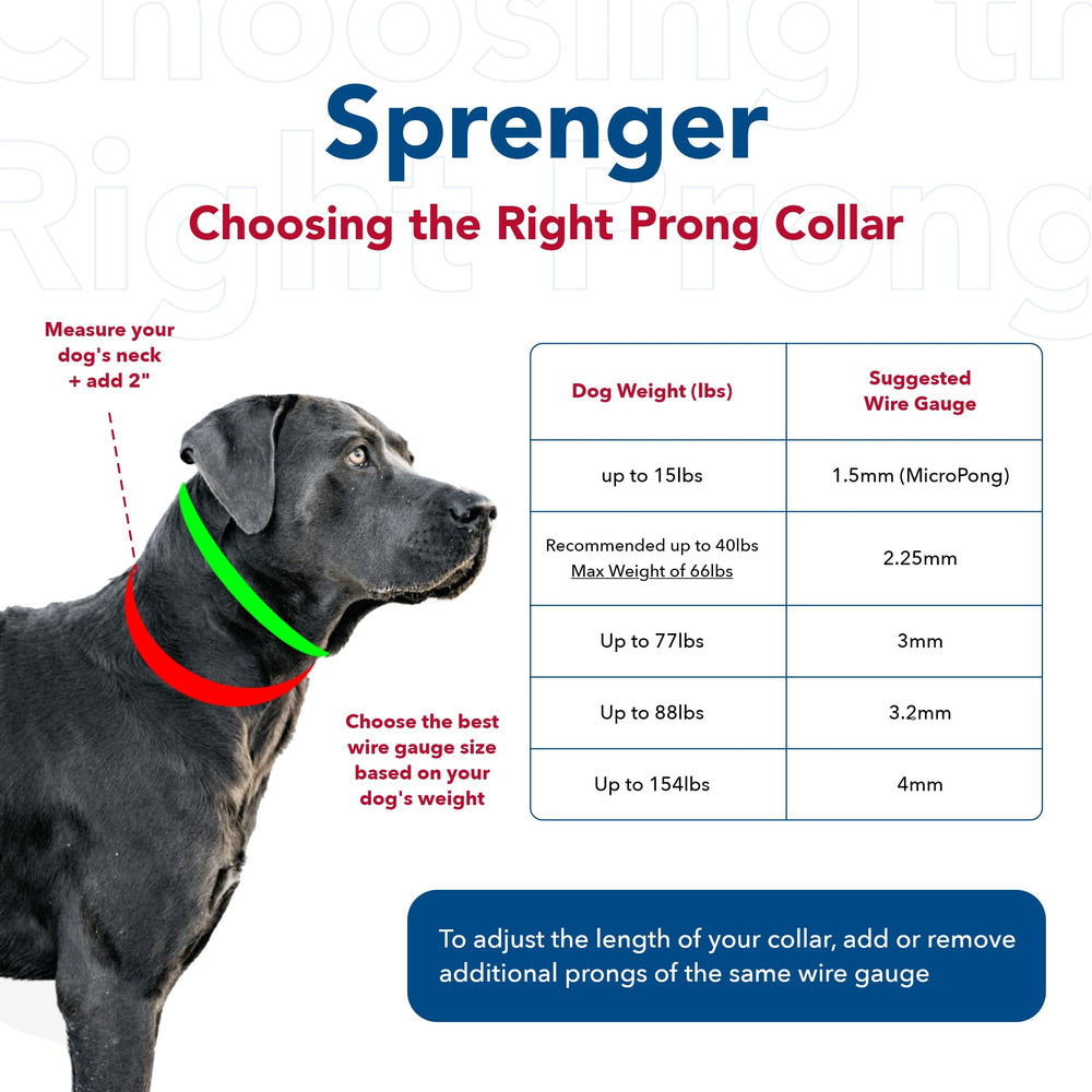 Herm Sprenger Ultra-Plus prong dog training collar chrome prongs close-up ideal for consistent feedback