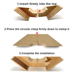 Hermit Crab Underground Tunnel Cave burrow routes with dual entrances