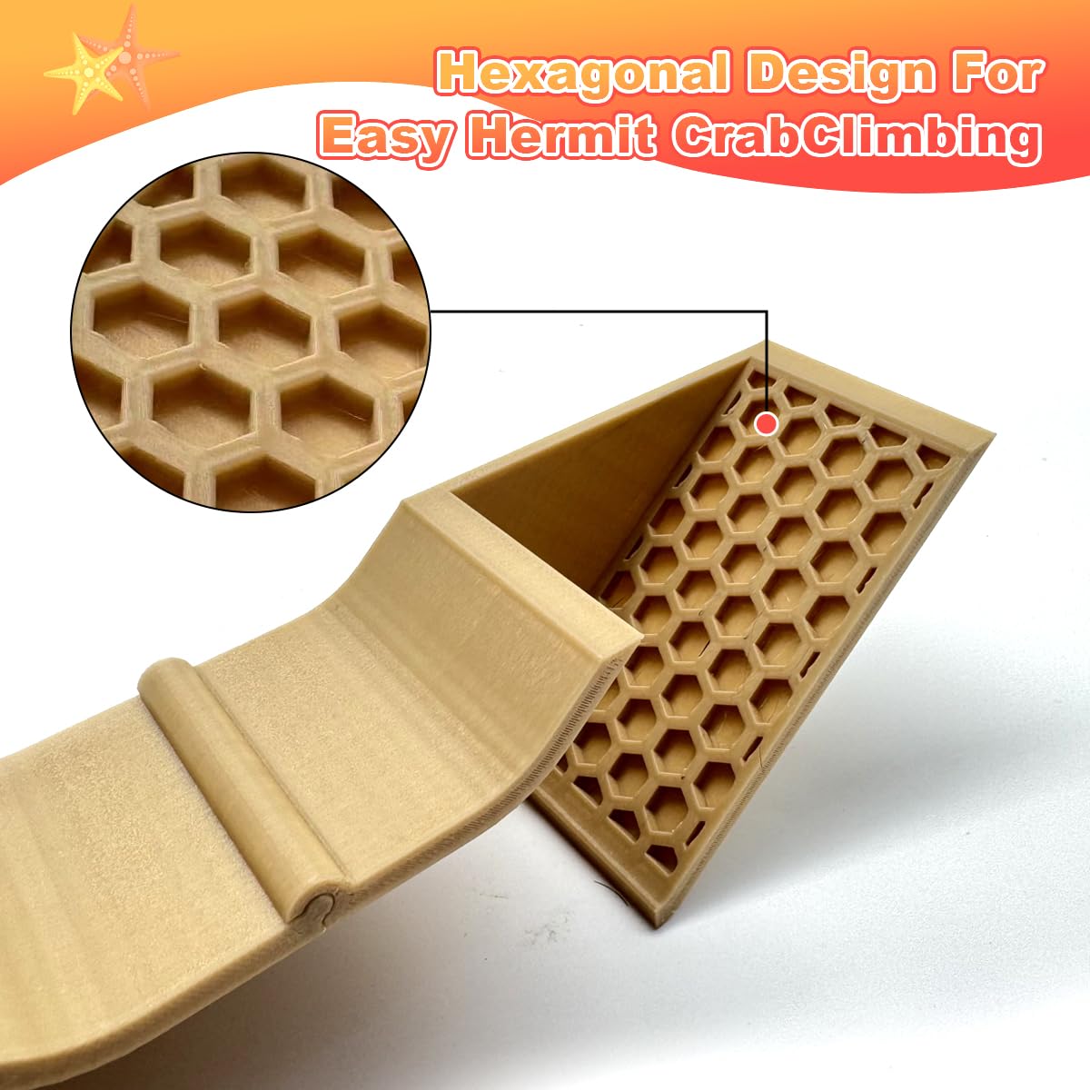 Hermit Crab Underground Tunnel Cave skeletonized ramps for climbing play