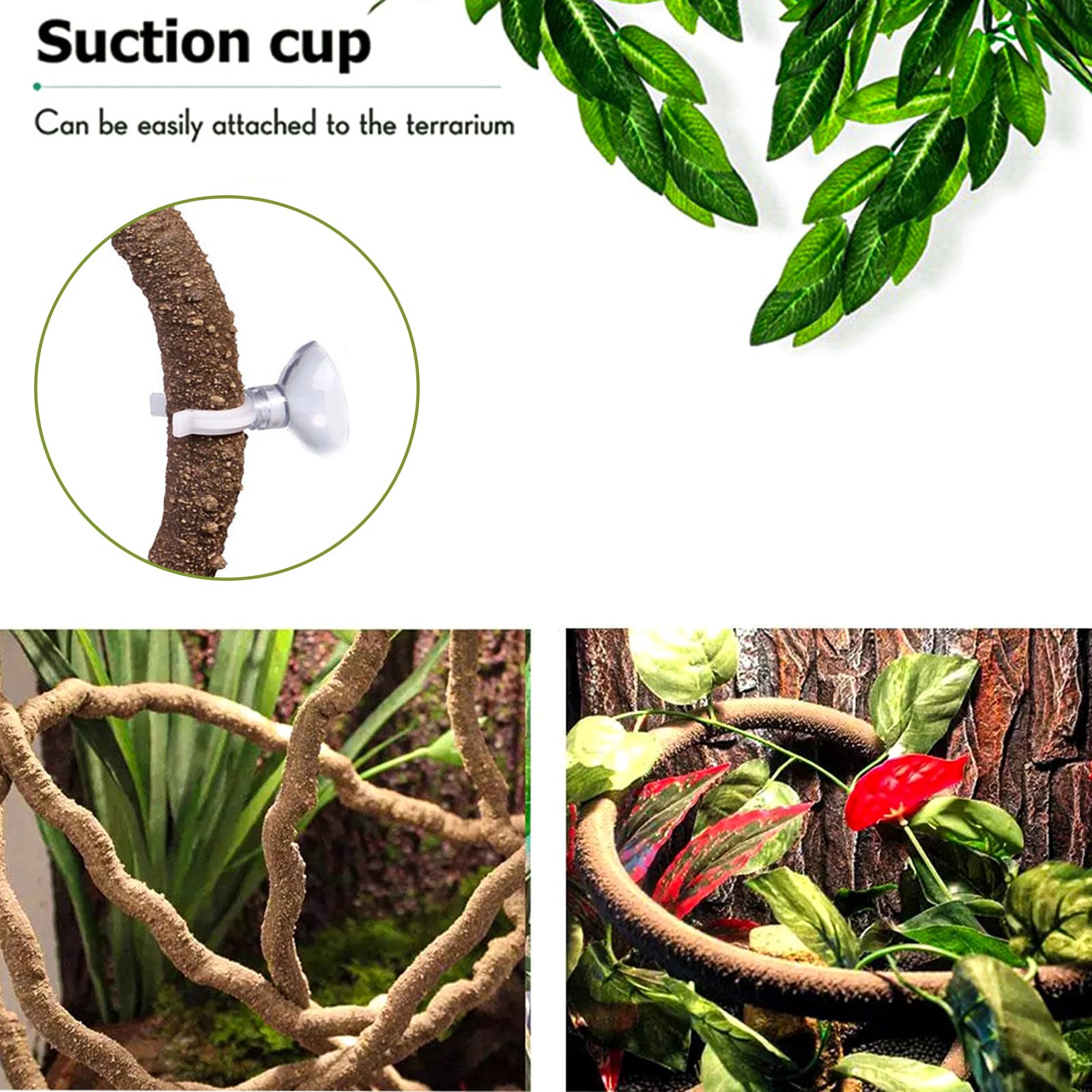HERCOCCI reptile vines 3-D habitat concept supports exploration and hiding spots.