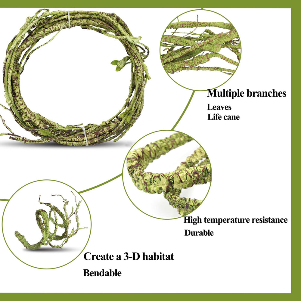 HERCOCCI reptile vines hanging plants terrarium adds vertical decor and shade.