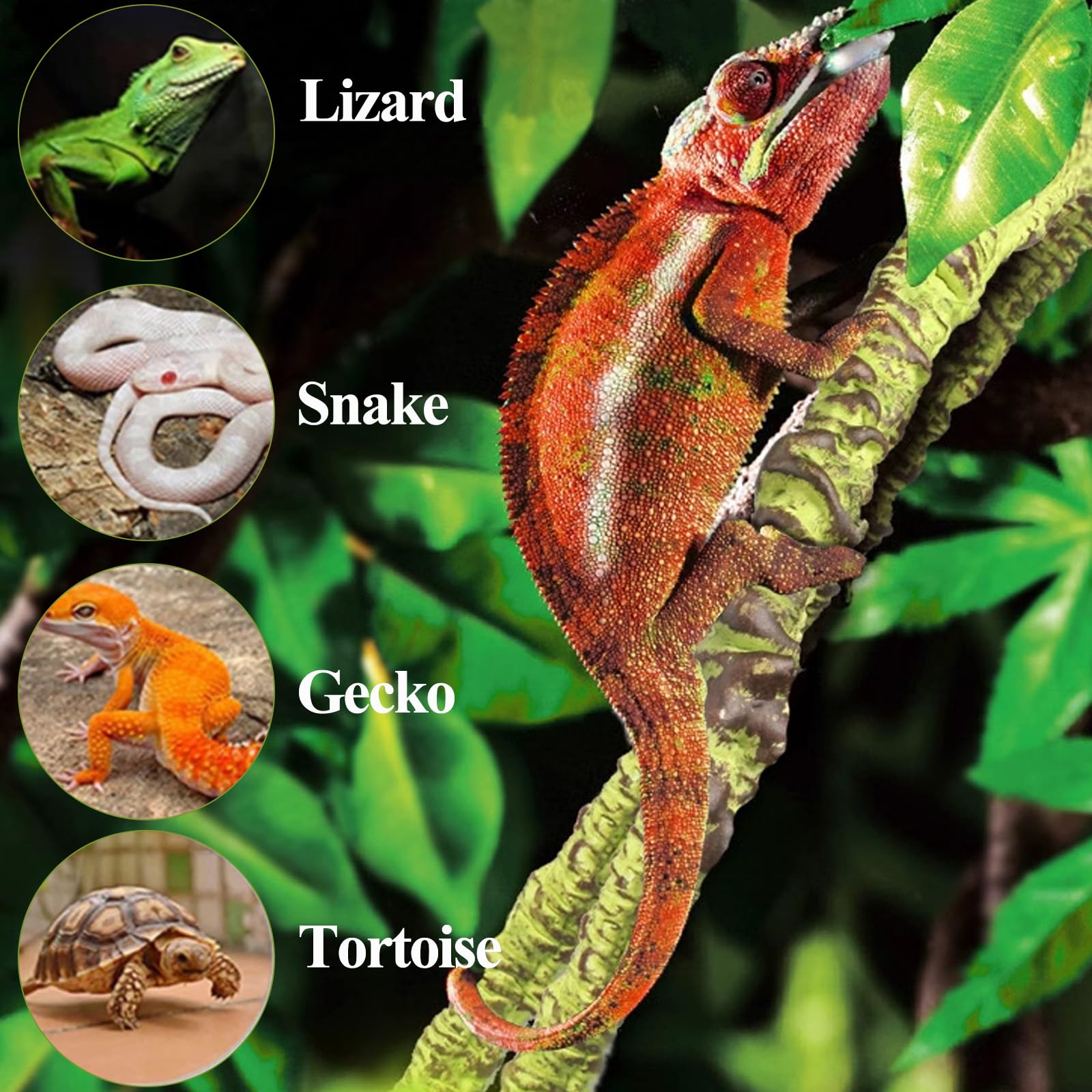HERCOCCI reptile leaves close-up texture highlights soft silk feel.