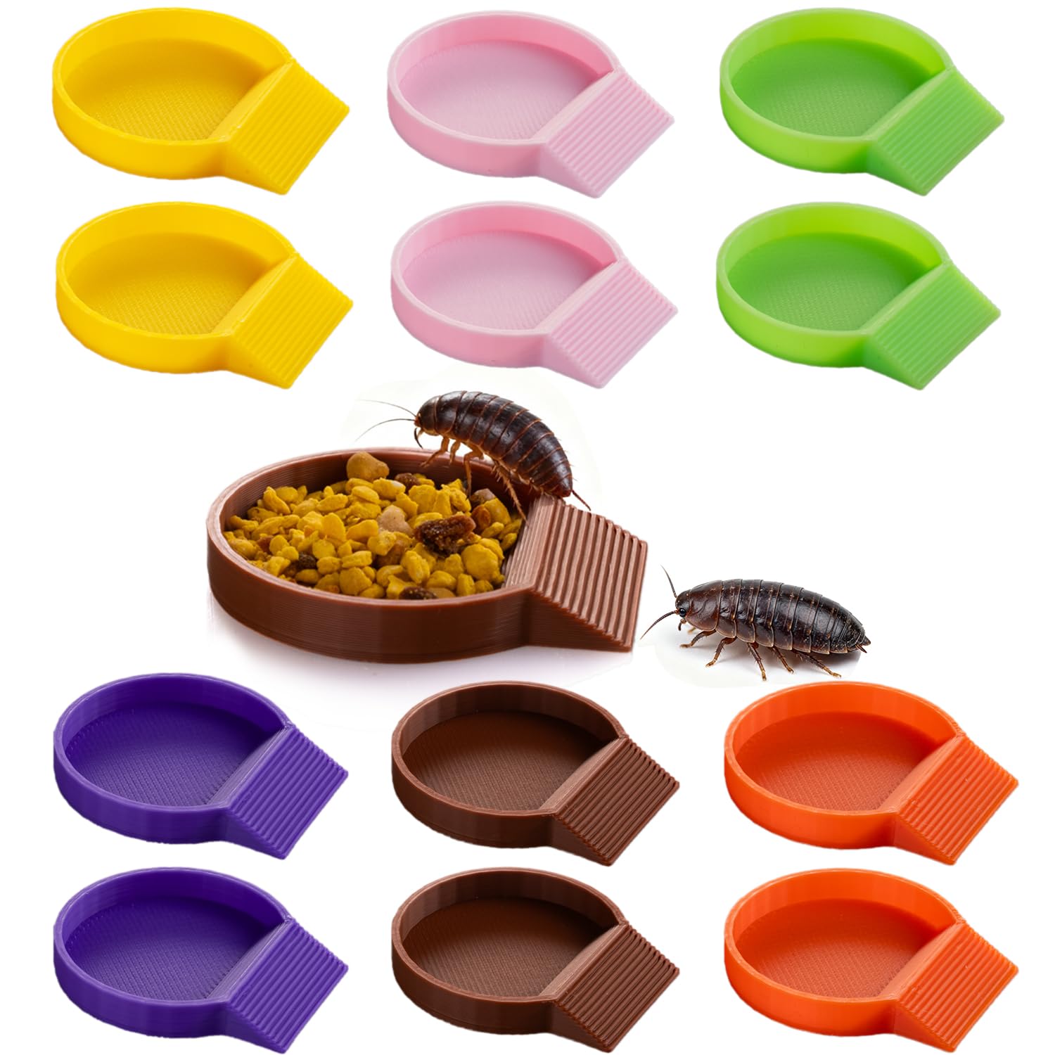 HERPDEN 12-pack feeding dishes in multicolor for organized isopod and roach feeding.