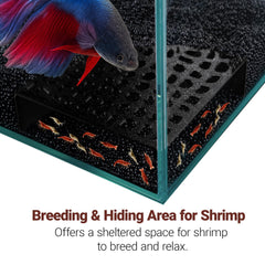 HERPDEN 2-pack black shrimp hides offer 180-degree viewing for observing shrimp behavior.