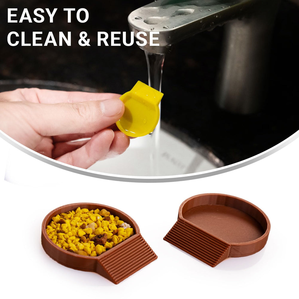 HERPDEN feeder bowls support dubia roach containers and isopod cultures for organized feeding.