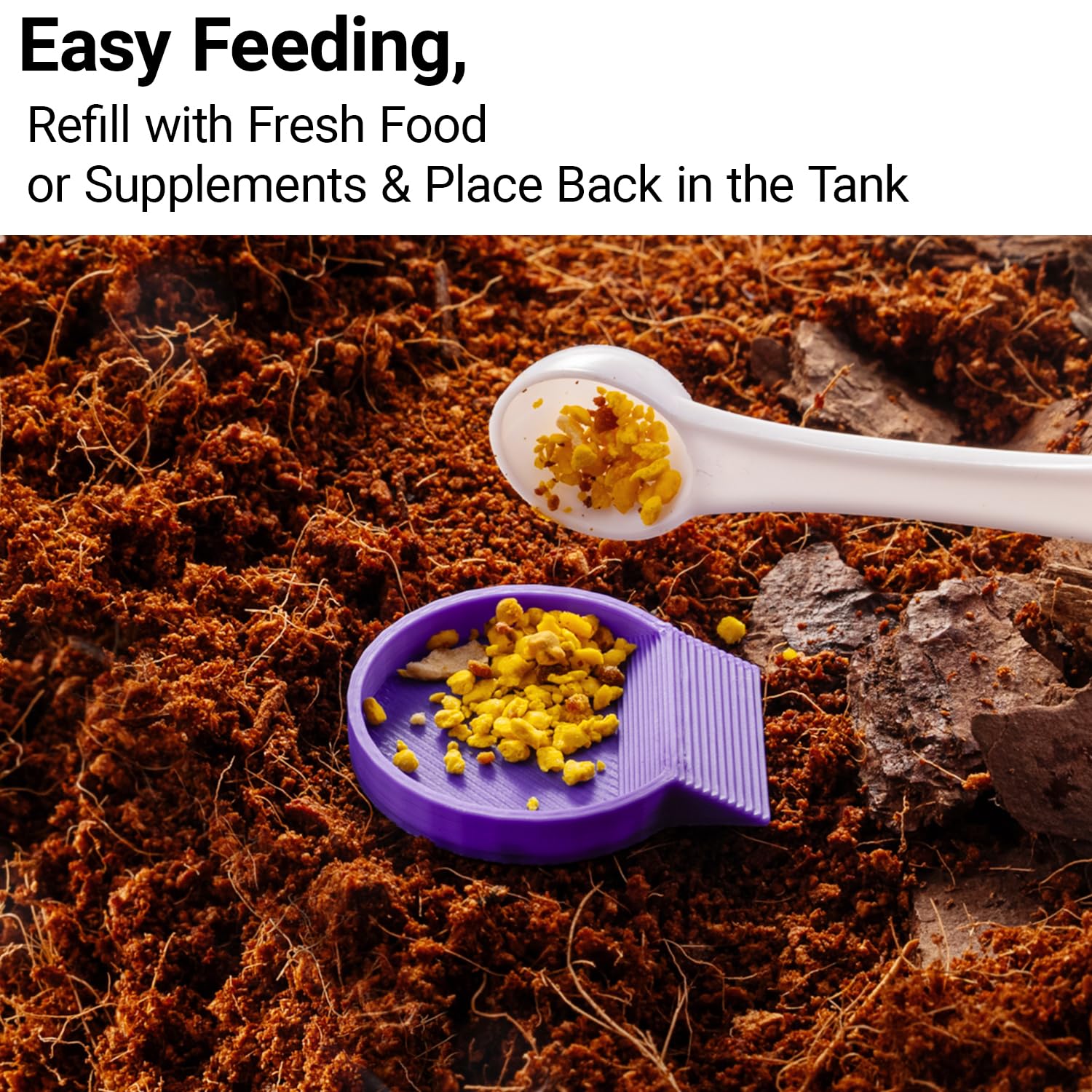 HERPDEN PLA bowls are easy to clean and reusable for daily isopod or springtail setups.