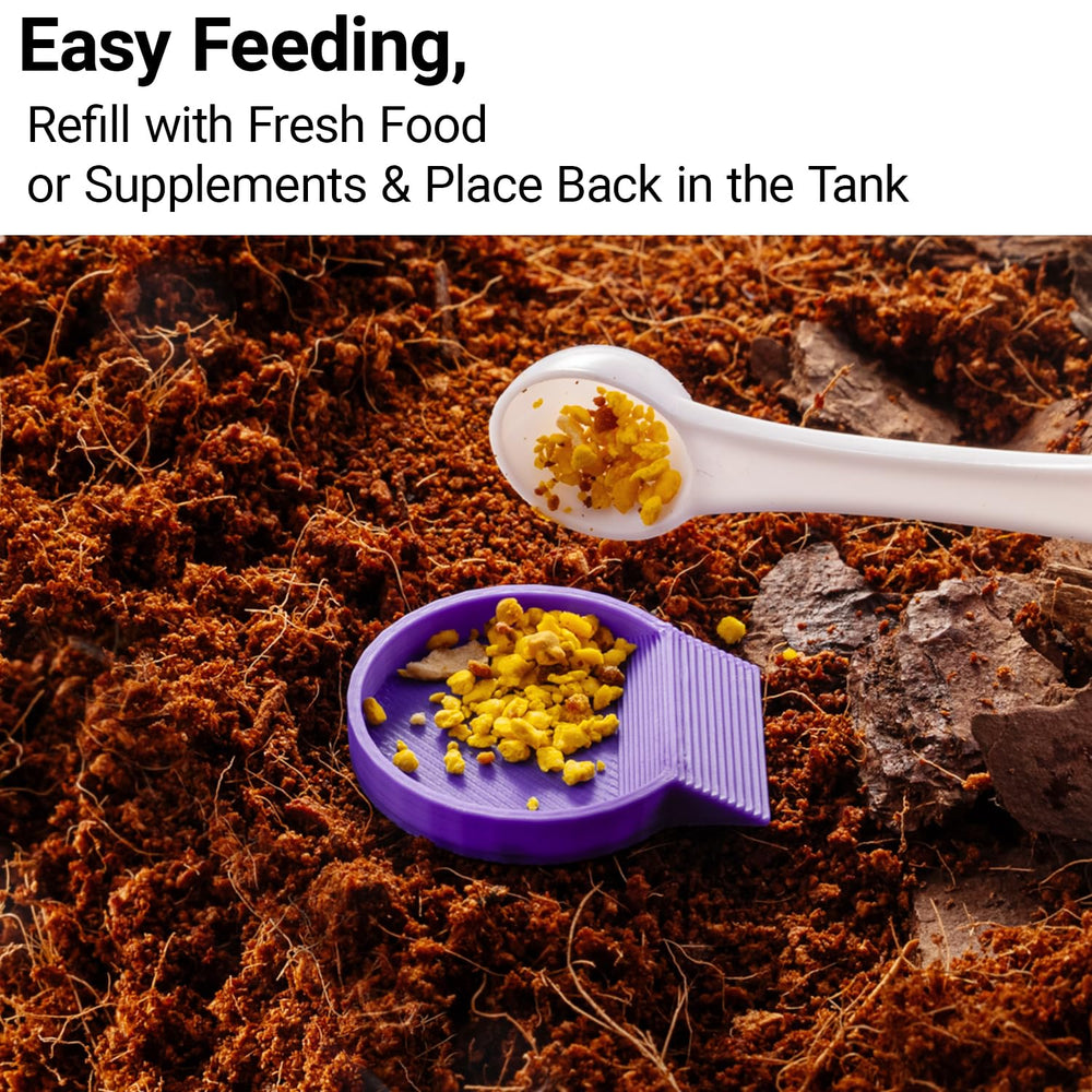 HERPDEN PLA bowls are easy to clean and reusable for daily isopod or springtail setups.